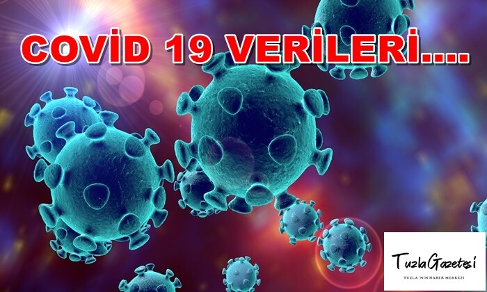 COVİD 19 VERİLERİ 30.11.2020