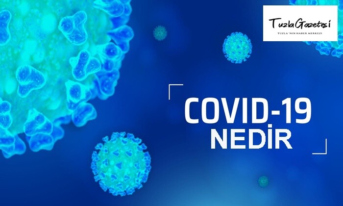 Covid 19 Nedir