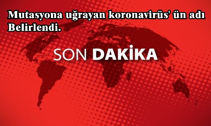 Mutasyona uğrayan koronavirüs' ün adı SARS-CoV-2 VUI 202012/01