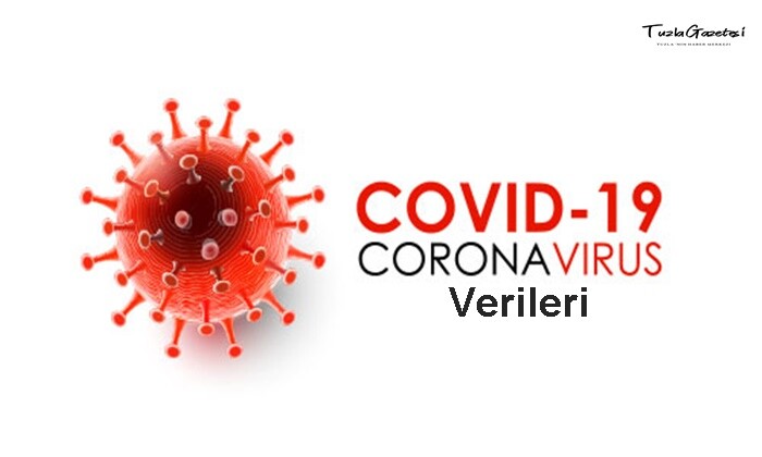 Covid 19 Verileri 16.01.2021