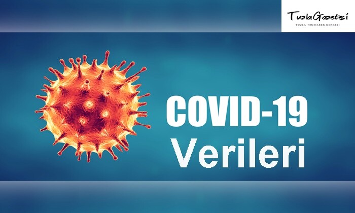 Covid 19 Verileri 20.01.2021