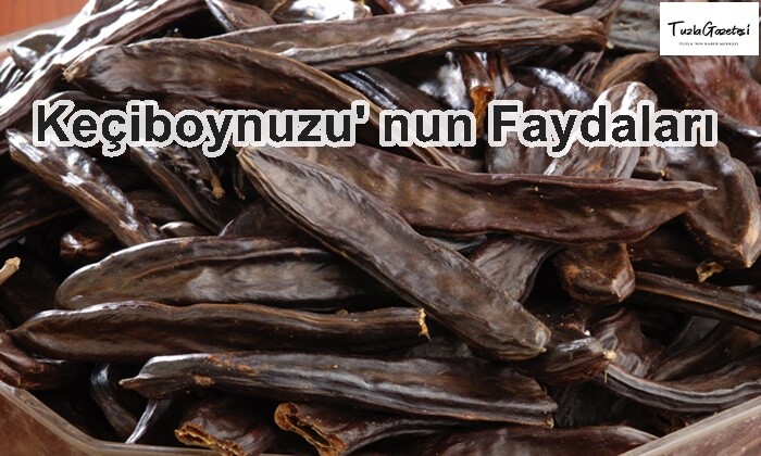 Keçiboynuzu' nun Faydaları nelerdir