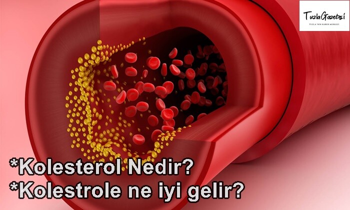 Kolesterol nedir ne iyi gelir