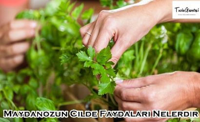 Maydanozun Cilde Faydaları Nelerdir