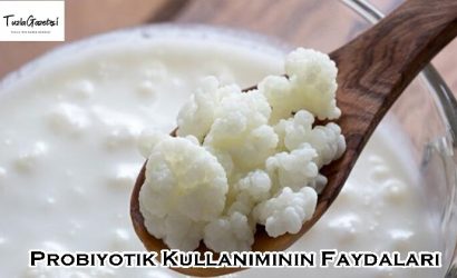 Probiyotik Kullanımının Faydaları nedir