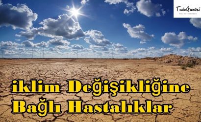 iklim Değişikliğine Bağlı Hastalıklar hangileridir