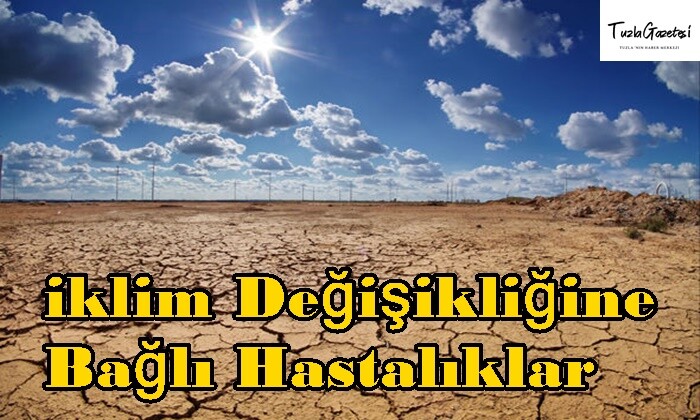 iklim Değişikliğine Bağlı Hastalıklar hangileridir