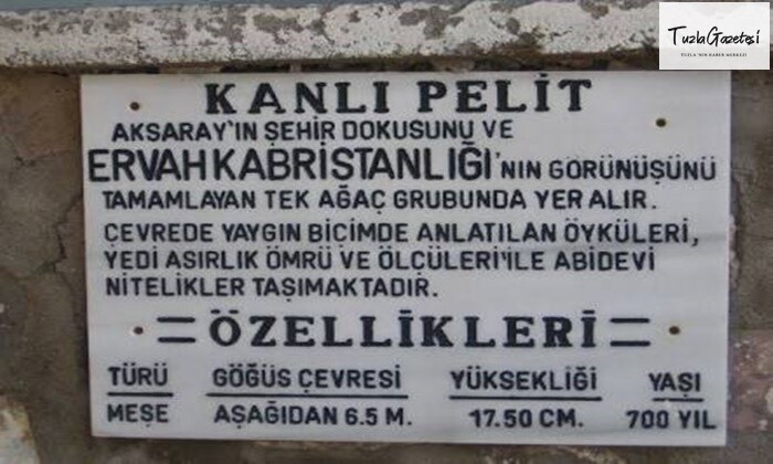 Kanlı Pelit Efsanesi Nedir