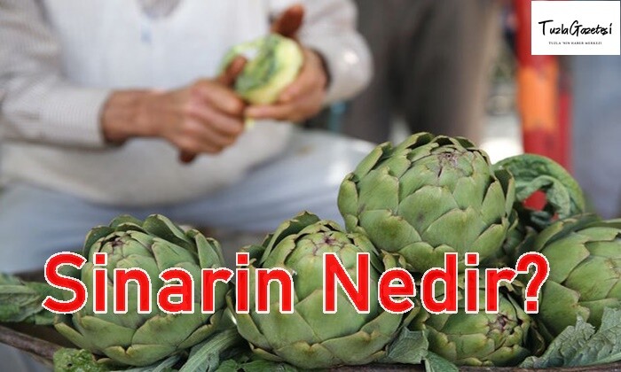 Sinarin faydaları Nedir