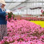 Tam kapanma sürecine ilişkin Genelge