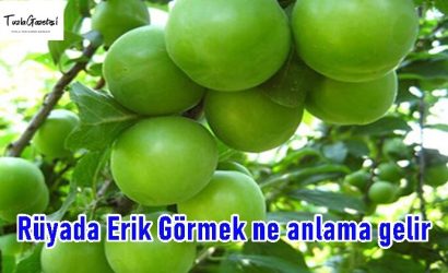 Rüyada Erik Görmek ne anlama gelir