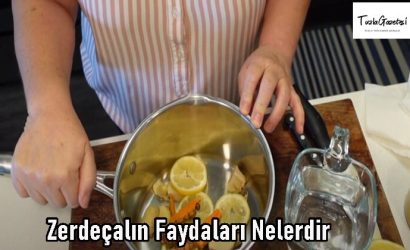 Zerdeçalın Faydaları Nelerdir