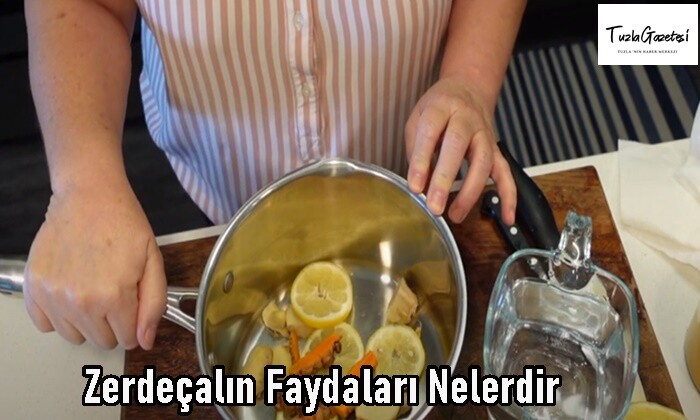 Zerdeçalın Faydaları Nelerdir