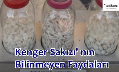 Kenger Sakızı' nın Bilinmeyen Faydaları