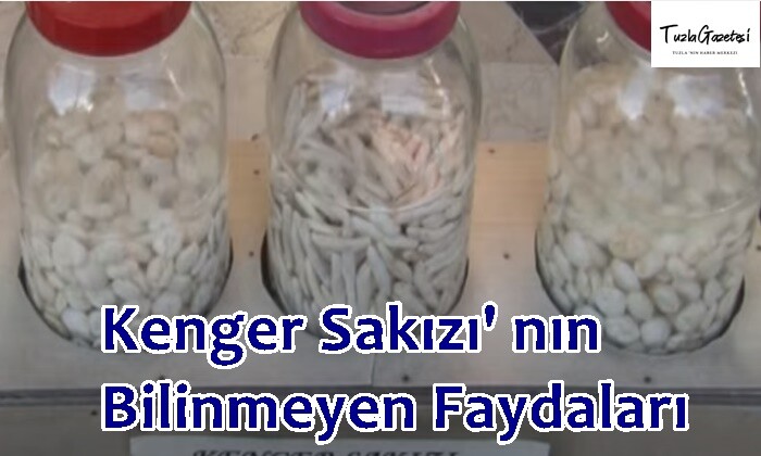 Kenger Sakızı' nın Bilinmeyen Faydaları