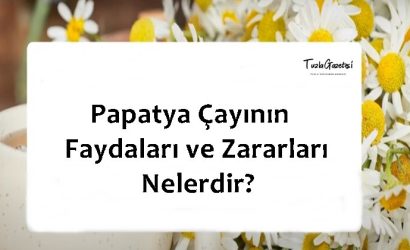 Papatya Çayının Faydaları ve Zararları