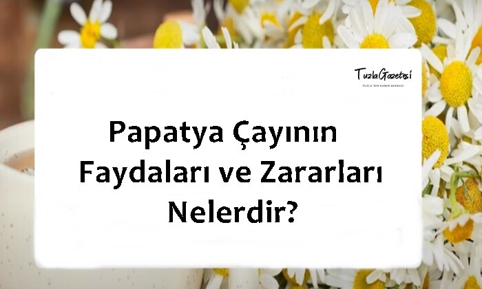 Papatya Çayının Faydaları ve Zararları