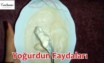 Yoğurdun Faydaları başlıca