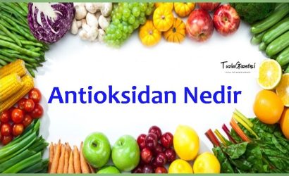 Antioksidan Nedir