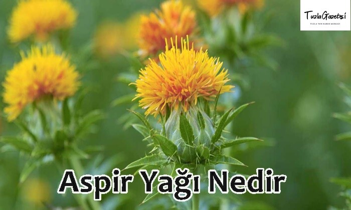 Aspir Yağı Nedir