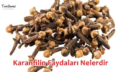 Karanfilin Faydaları Nelerdir
