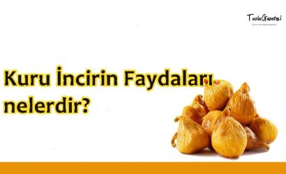 Kuru İncirin Faydaları nedir