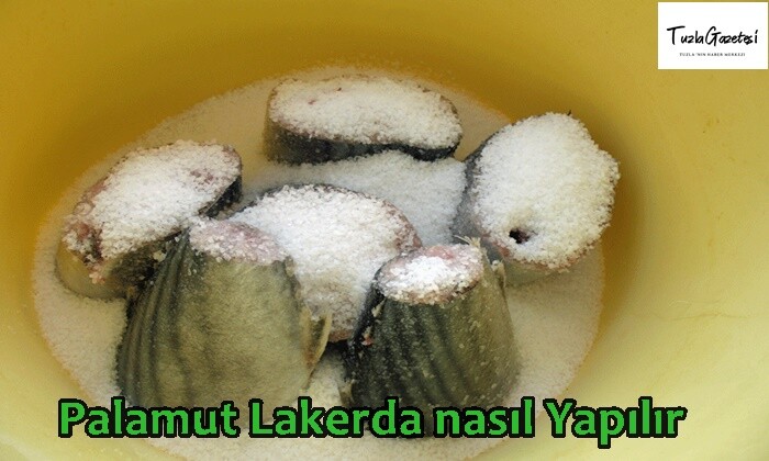 Palamut Lakerda nasıl Yapılır