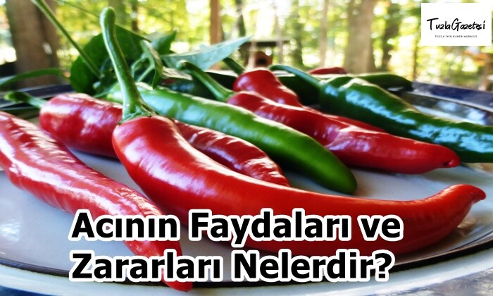 Acının Faydaları ve Zararları Nelerdir?