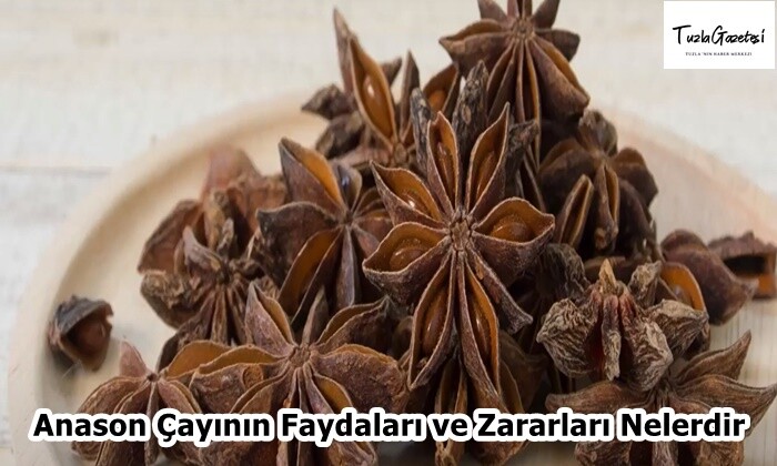 Anason Çayının Faydaları ve Zararları Nelerdir?