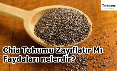 Chia Tohumu Zayıflatır Mı Faydaları nelerdir?