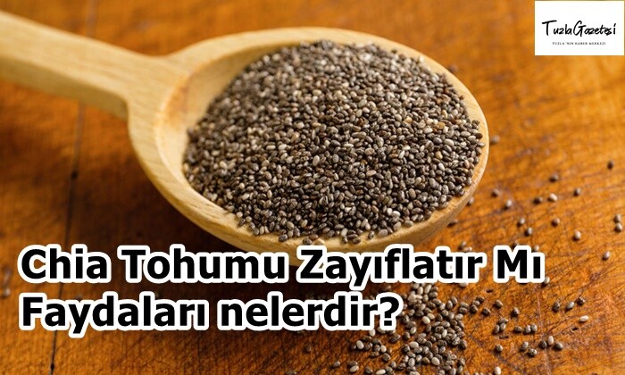 Chia Tohumu Zayıflatır Mı Faydaları nelerdir?