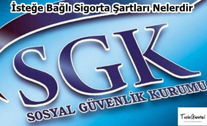 İsteğe Bağlı Sigorta Şartları Nelerdir