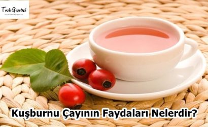 Kuşburnu Çayının Faydaları Nelerdir