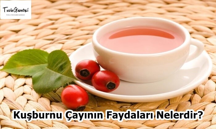 Kuşburnu Çayının Faydaları Nelerdir?