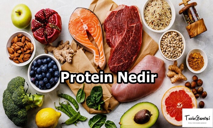 Protein Nedir?