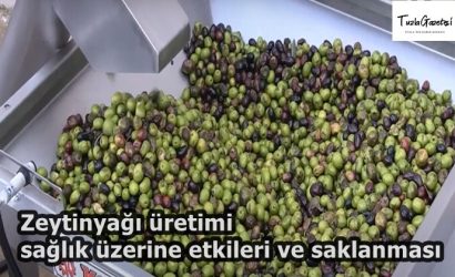 Zeytinyağı üretimi sağlık üzerine etkileri ve saklanması