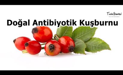 Doğal Antibiyotik Kuşburnu