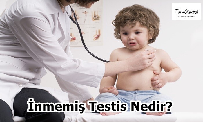 İnmemiş Testis Nedir