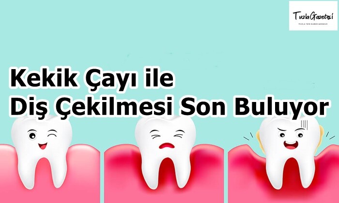 Kekik Çayı ile Diş Çekilmesi Son Buluyor