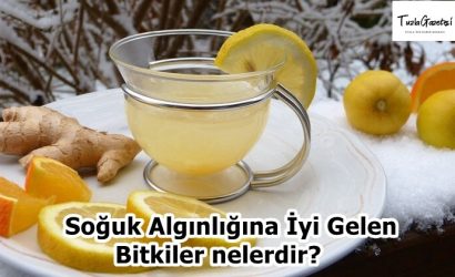 Soğuk Algınlığına İyi Gelen Bitkiler