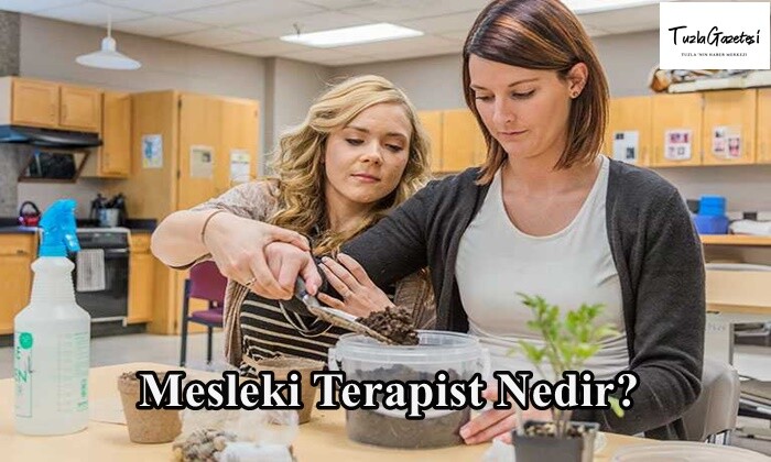 Mesleki Terapist Nedir