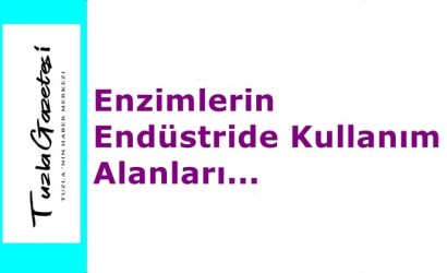Enzimlerin Endüstride Kullanım Alanları