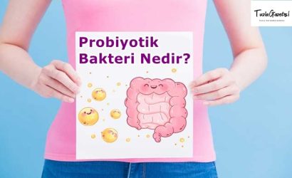 Probiyotik Bakteri Nedir