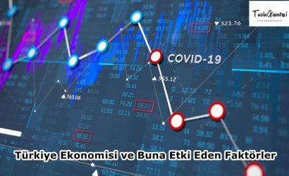 Türkiye Ekonomisi ve Buna Etki Eden Faktörler