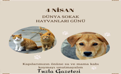 4 NİSAN dünya sokak hayvanları günü