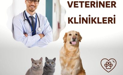 Tuzla Veteriner Klinikleri tavsiye