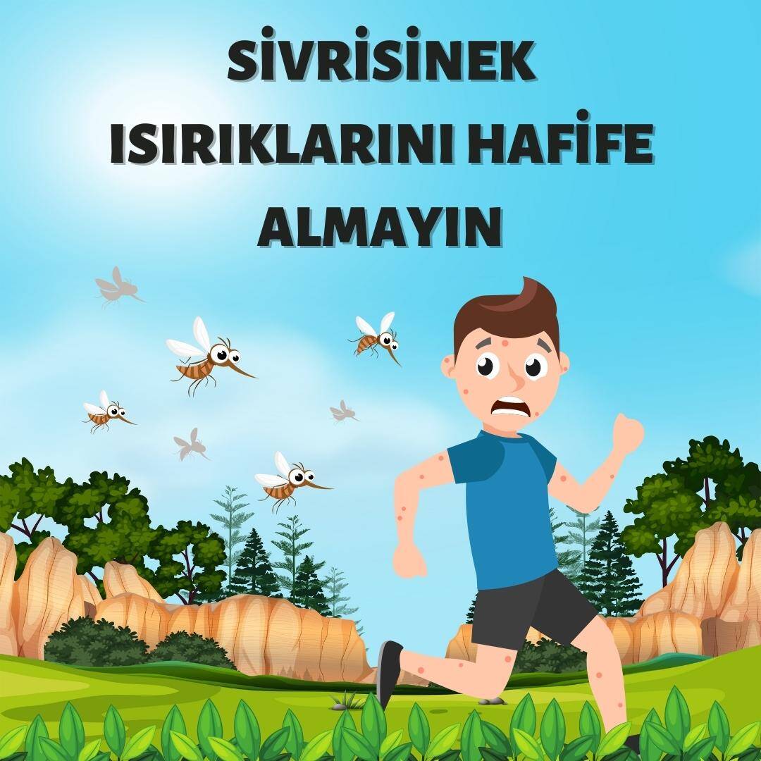 Sivrisinek ısırıklarını hafife almayın