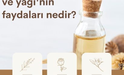 Gül suyu, sirkesi ve yağı' nın faydaları nedir